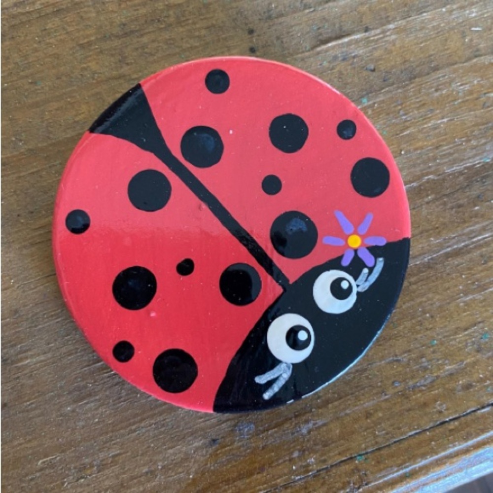 Ladybug Santorini Painted Rock